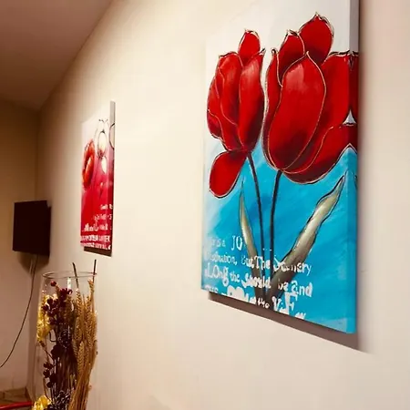 Certe Notti Langhe Bed & Breakfast